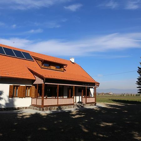 Ezuestfenyo Agroturisztikai Panzio Hotel Borzont ภายนอก รูปภาพ